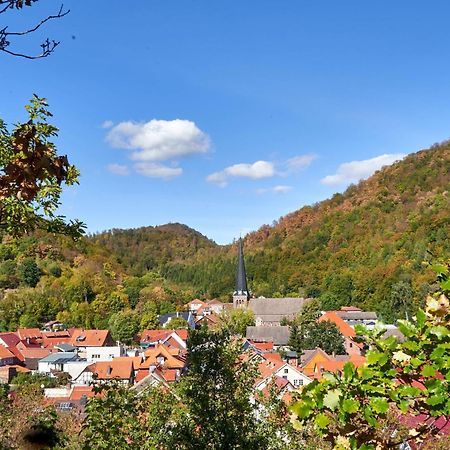 Villa Poolhaus Im Suedharz Harztor Esterno foto