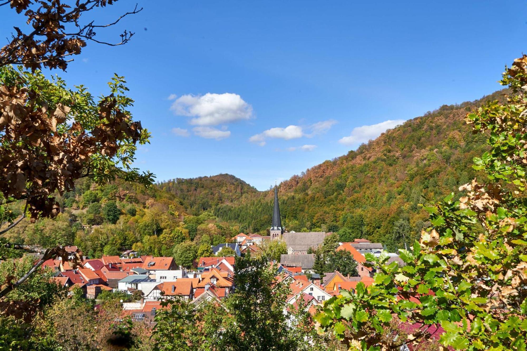 Villa Poolhaus Im Suedharz Harztor Esterno foto